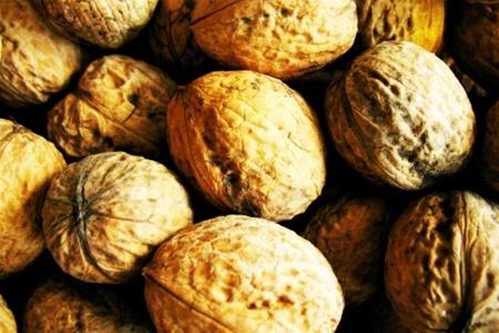 Грецкие орехи вред и польза